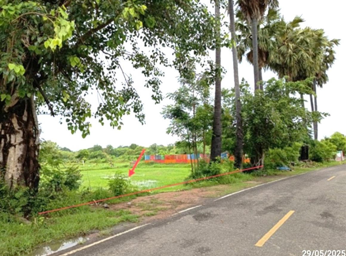 ที่ดินว่างเปล่า หนองคู ลำปลายมาศ บุรีรัมย์ พื้นที่ทำเลดี เหมาะสำหรับพัฒนาโครงการหรือทำการเกษตร