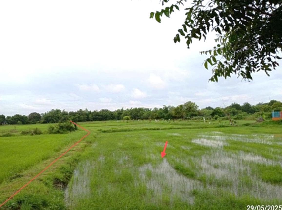 ที่ดินว่างเปล่า หนองคู ลำปลายมาศ บุรีรัมย์ พื้นที่ทำเลดี เหมาะสำหรับพัฒนาโครงการหรือทำการเกษตร