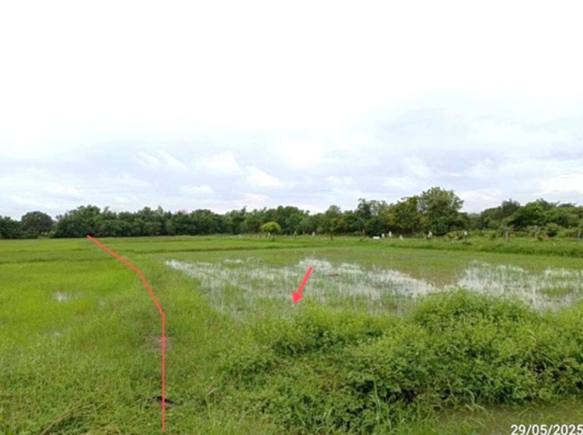 ที่ดินว่างเปล่า หนองคู ลำปลายมาศ บุรีรัมย์ พื้นที่ทำเลดี เหมาะสำหรับพัฒนาโครงการหรือทำการเกษตร