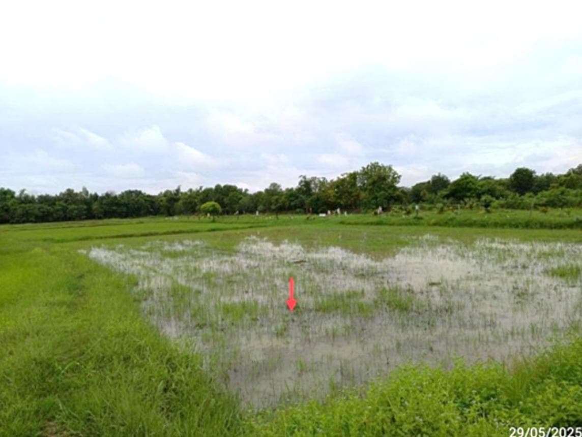 ที่ดินว่างเปล่า หนองคู ลำปลายมาศ บุรีรัมย์ พื้นที่ทำเลดี เหมาะสำหรับพัฒนาโครงการหรือทำการเกษตร