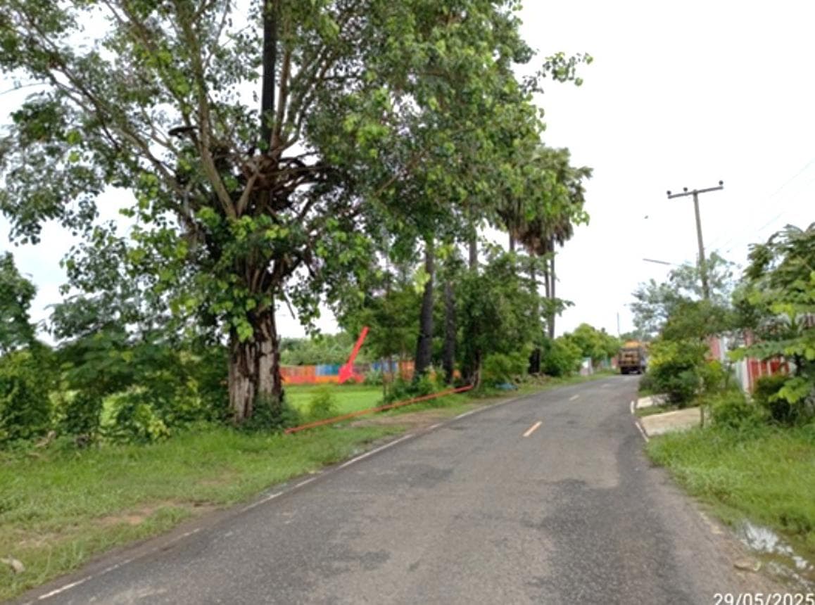 ที่ดินว่างเปล่า หนองคู ลำปลายมาศ บุรีรัมย์ พื้นที่ทำเลดี เหมาะสำหรับพัฒนาโครงการหรือทำการเกษตร