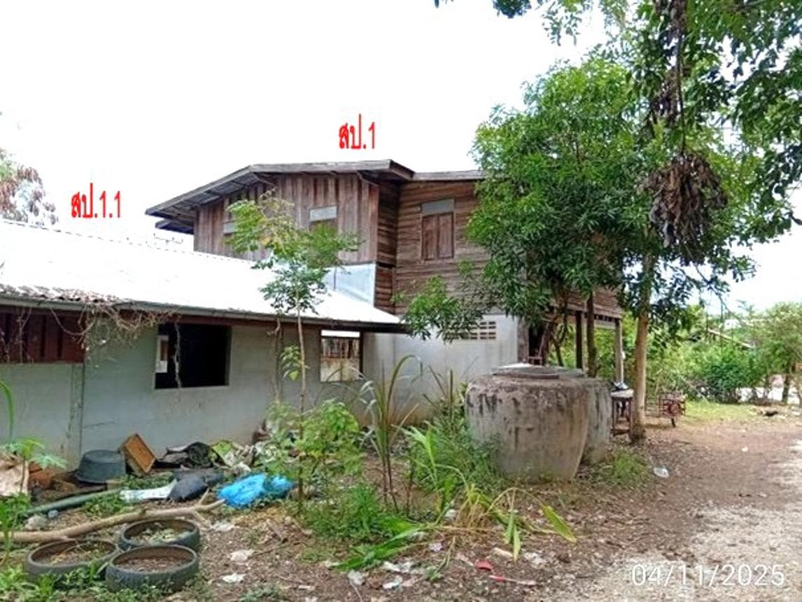 ขายบ้านเดี่ยว ภูกระดึง เลย พื้นที่กว้าง 72 ตร.ว. 3 ห้องนอน ทำเลดีใกล้แหล่งท่องเที่ยวธรรมชาติ