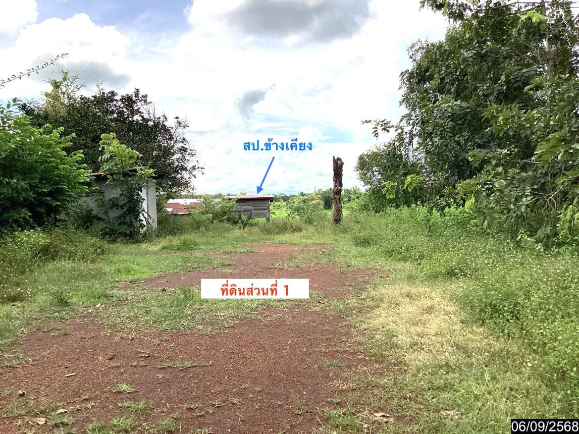 ขายบ้านเดี่ยว โพนนาแก้ว สกลนคร ทำเลบ้านโพน เนื้อที่ 35 ตร.ว. พื้นที่ใช้สอย 36 ตร.ม. สภาพดี ราคาคุ้มค่าไม่ถึงล้าน
