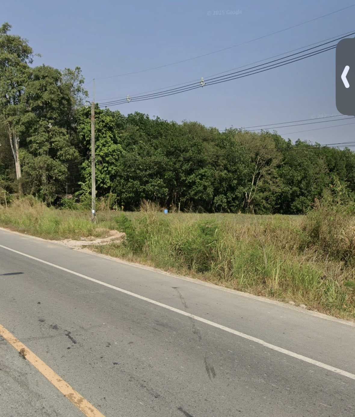 ขายที่ดินผังม่วงลาย นิคมพัฒนา ระยอง