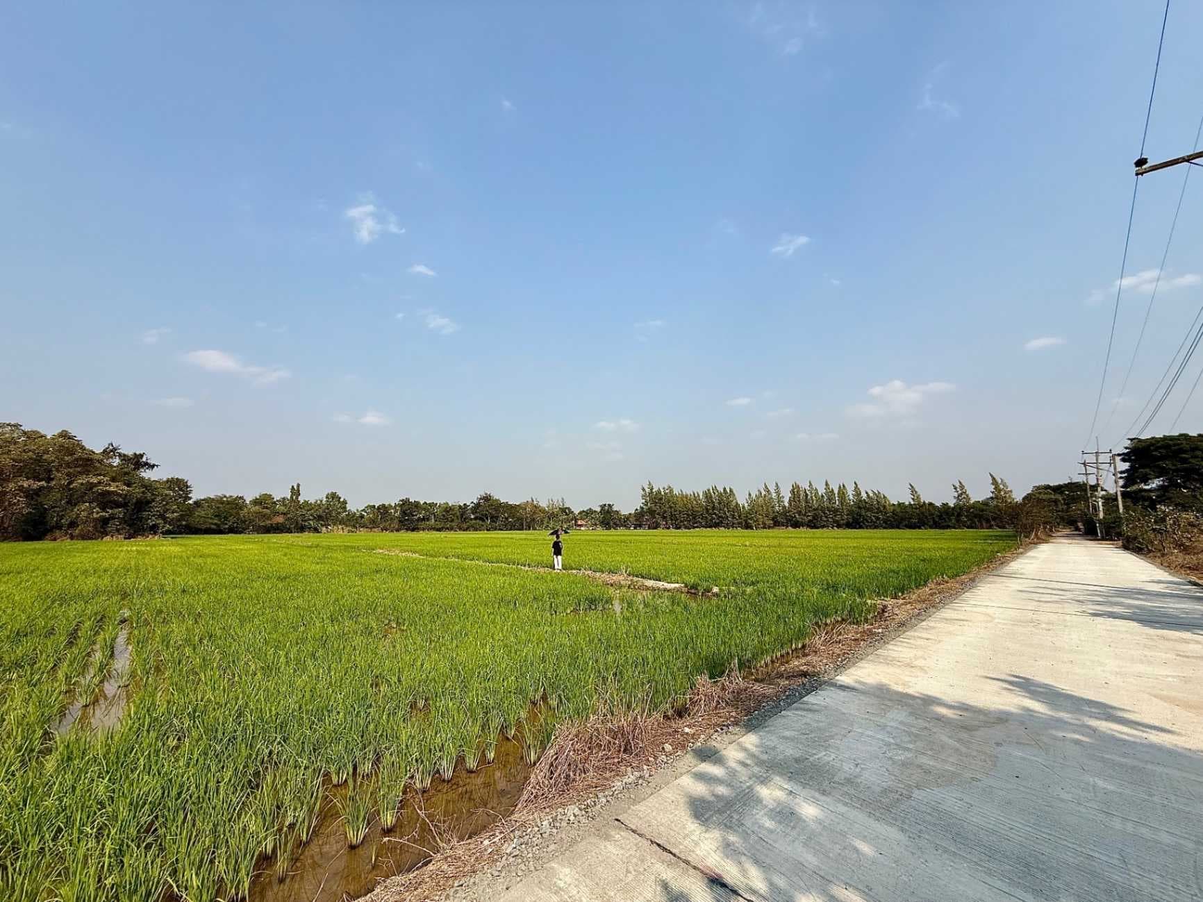 ที่ดินแปลงใหญ่ แปลงมุม 26 ไร่ 2 งาน 51 ตร.ว.ศักยภาพสูง ใกล้เมืองชียงใหม่ ราคาดี