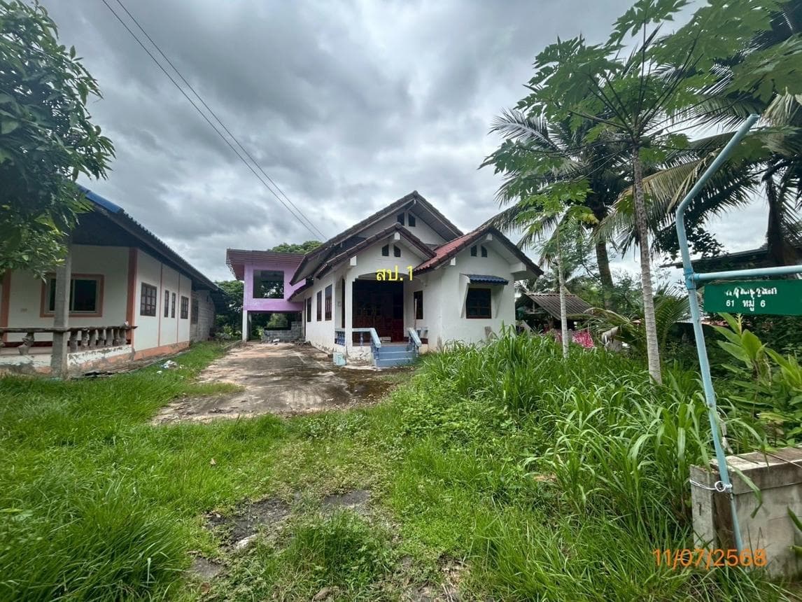 บ้านเดี่ยว นาผือ เมืองอำนาจเจริญ อำนาจเจริญ พื้นที่ 27 ตร.ว. พื้นที่ใช้สอย 84 ตร.ม. 2 ห้องนอน 1 ห้องน้ำ