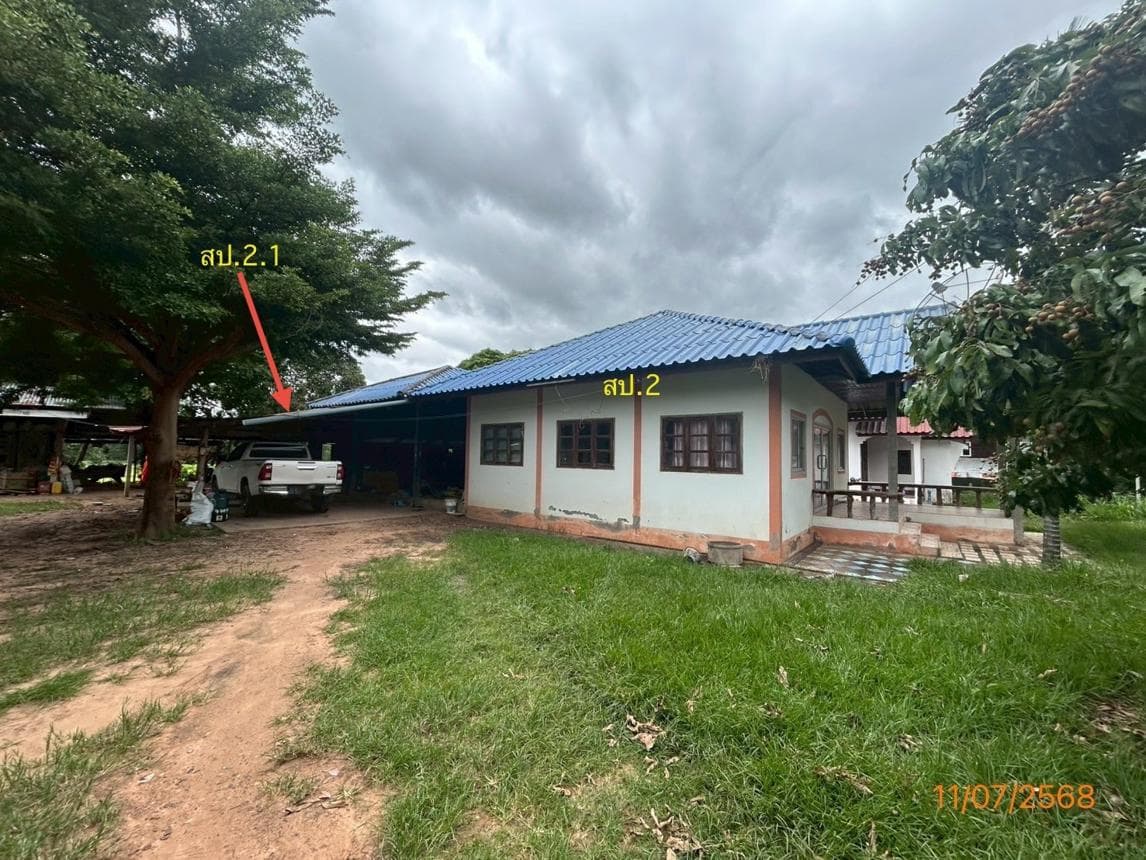 บ้านเดี่ยว นาผือ เมืองอำนาจเจริญ อำนาจเจริญ พื้นที่ 27 ตร.ว. พื้นที่ใช้สอย 84 ตร.ม. 2 ห้องนอน 1 ห้องน้ำ