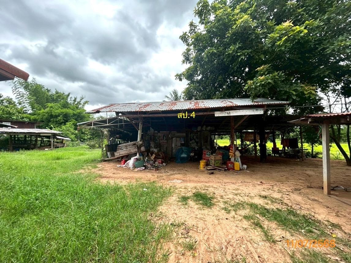 บ้านเดี่ยว นาผือ เมืองอำนาจเจริญ อำนาจเจริญ พื้นที่ 27 ตร.ว. พื้นที่ใช้สอย 84 ตร.ม. 2 ห้องนอน 1 ห้องน้ำ