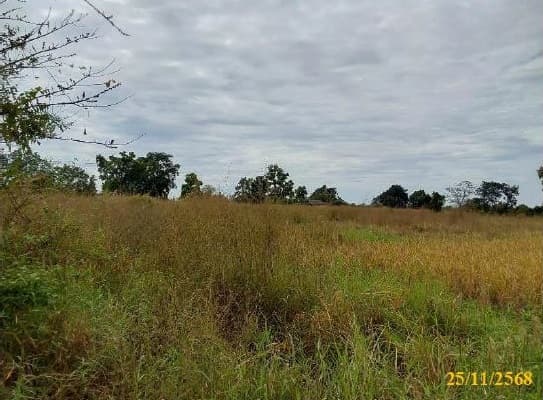ที่ดินเปล่า เมืองหนองบัวลำภู หนองบัวลำภู