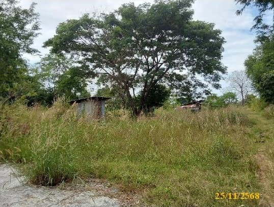 ที่ดินเปล่า เมืองหนองบัวลำภู หนองบัวลำภู