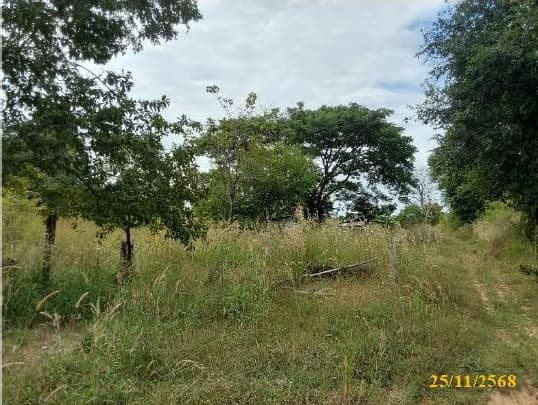 ที่ดินเปล่า เมืองหนองบัวลำภู หนองบัวลำภู