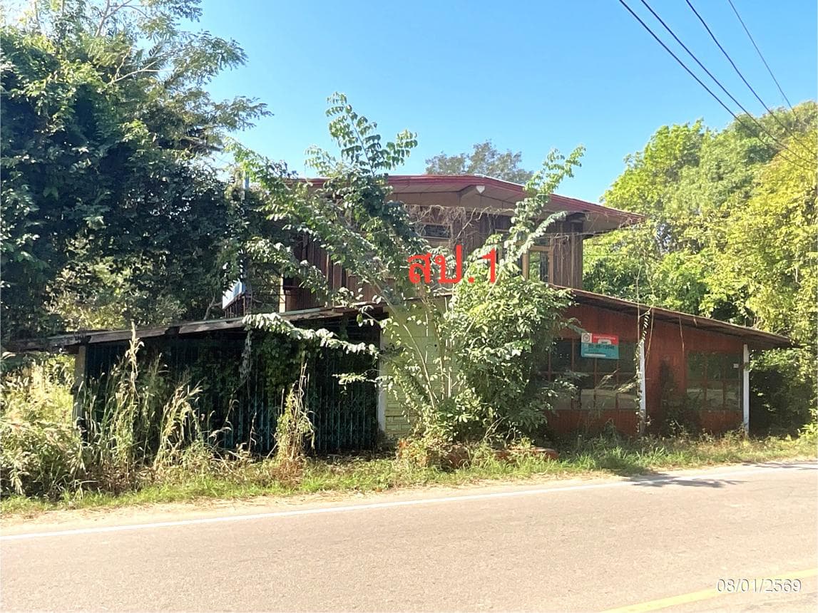 ขายบ้านเดี่ยวหลังใหญ่ บึงกาฬ ชัยพร พื้นที่กว้างขวาง 74 ตร.ว. บรรยากาศเงียบสงบ เป็นส่วนตัวสูง