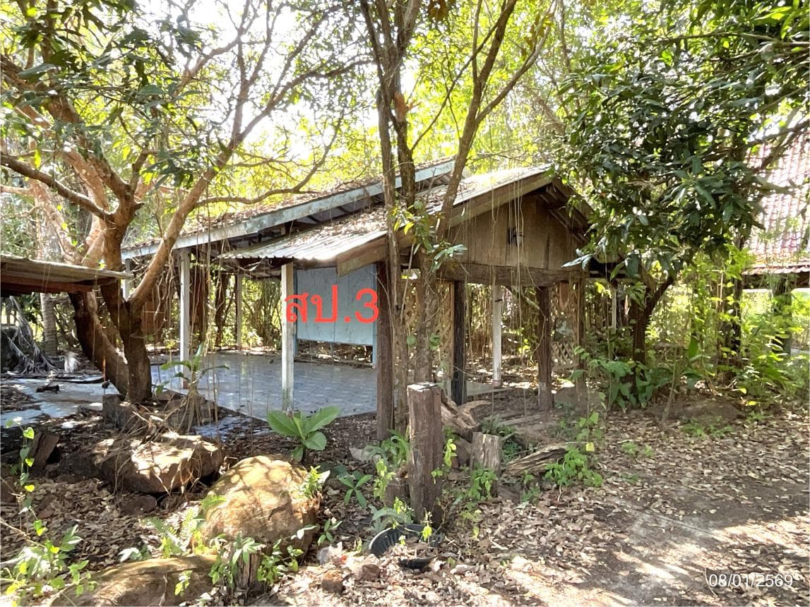 ขายบ้านเดี่ยวหลังใหญ่ บึงกาฬ ชัยพร พื้นที่กว้างขวาง 74 ตร.ว. บรรยากาศเงียบสงบ เป็นส่วนตัวสูง