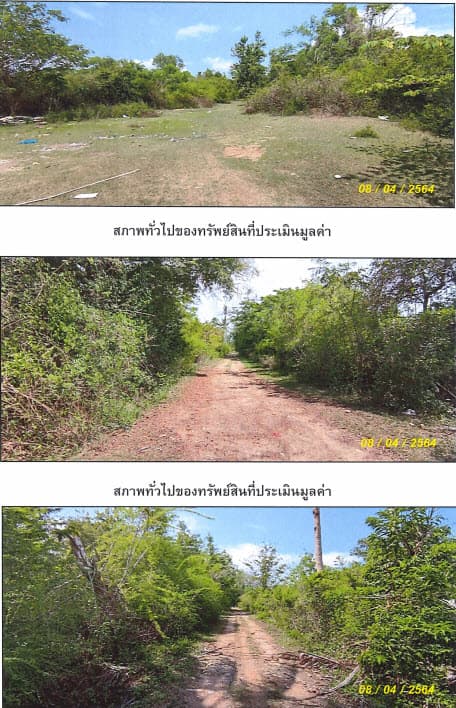 ที่ดินเปล่า เมืองตรัง ตรัง