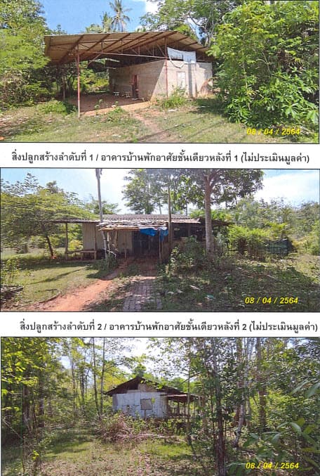 ที่ดินเปล่า เมืองตรัง ตรัง