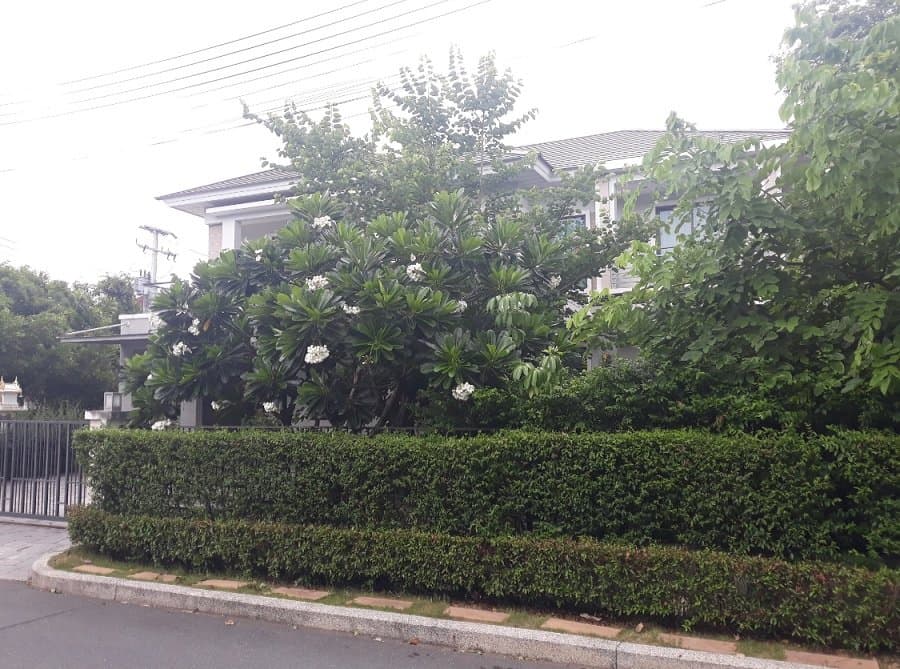 บ้านเดี่ยว เมืองปทุมธานี