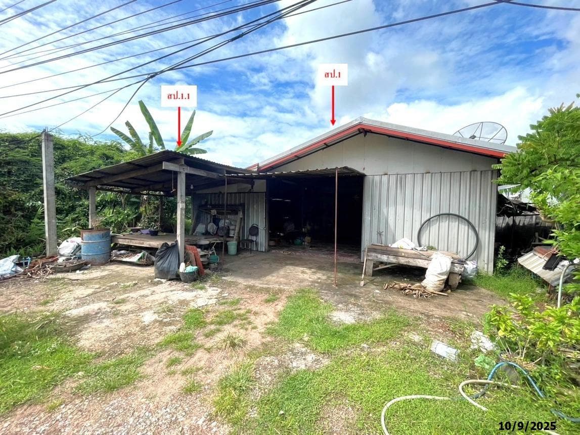 บ้านเดี่ยว บ้านถ่อน สว่างแดนดิน สกลนคร 1 ห้องนอน 1 ห้องน้ำ พื้นที่กว้างขวางพิเศษ 240.25 ตร.ม. บนที่ดินขนาดใหญ่ 88 ตร.ว. ทำเลสงบเป็นส่วนตัว ราคาพิเศษ 1.73 ล้าน