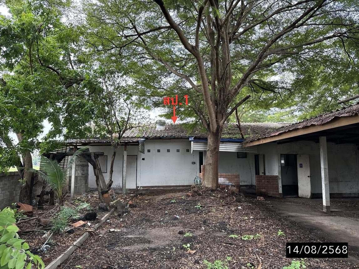 บ้านเดี่ยวทำเลศักยภาพ บ้านเป็ด เมืองขอนแก่น พื้นที่ใช้สอย 180.25 ตร.ม. ฟังก์ชัน 3 ห้องนอน