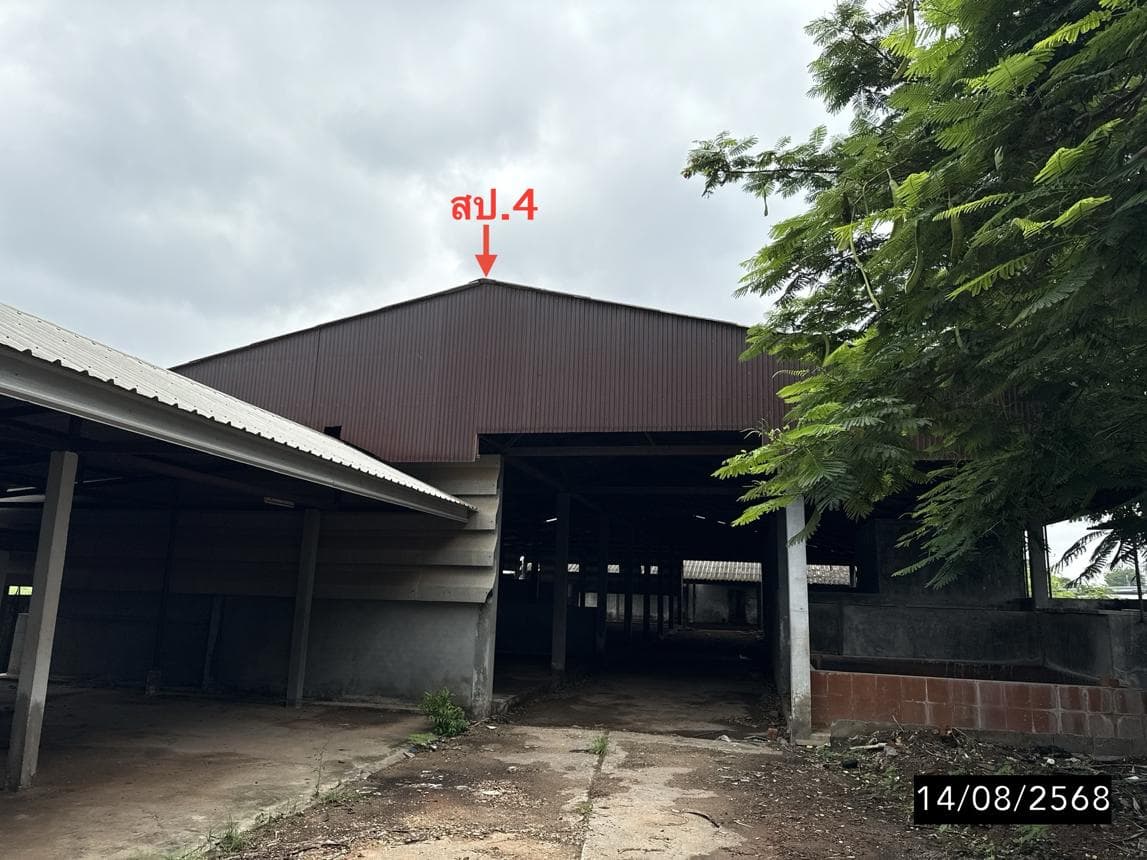 บ้านเดี่ยวทำเลศักยภาพ บ้านเป็ด เมืองขอนแก่น พื้นที่ใช้สอย 180.25 ตร.ม. ฟังก์ชัน 3 ห้องนอน