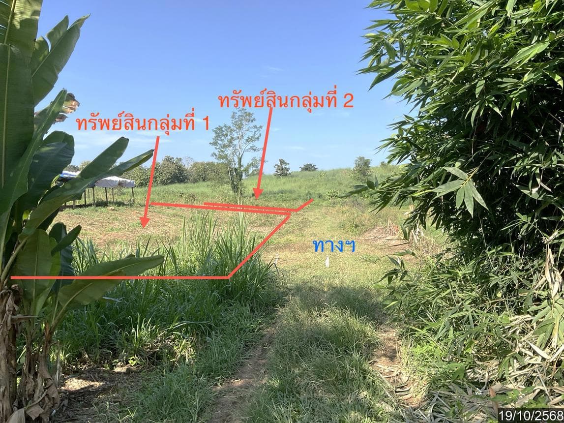 ที่ดินว่างเปล่า ผางาม เวียงชัย เชียงราย เนื้อที่ 99 ตร.ว. ทำเลสวย บรรยากาศร่มรื่น เหมาะสำหรับสร้างบ้านพักอาศัยหรือซื้อเก็บลงทุน ราคาคุ้มค่าเพียง 4.44 ล้าน