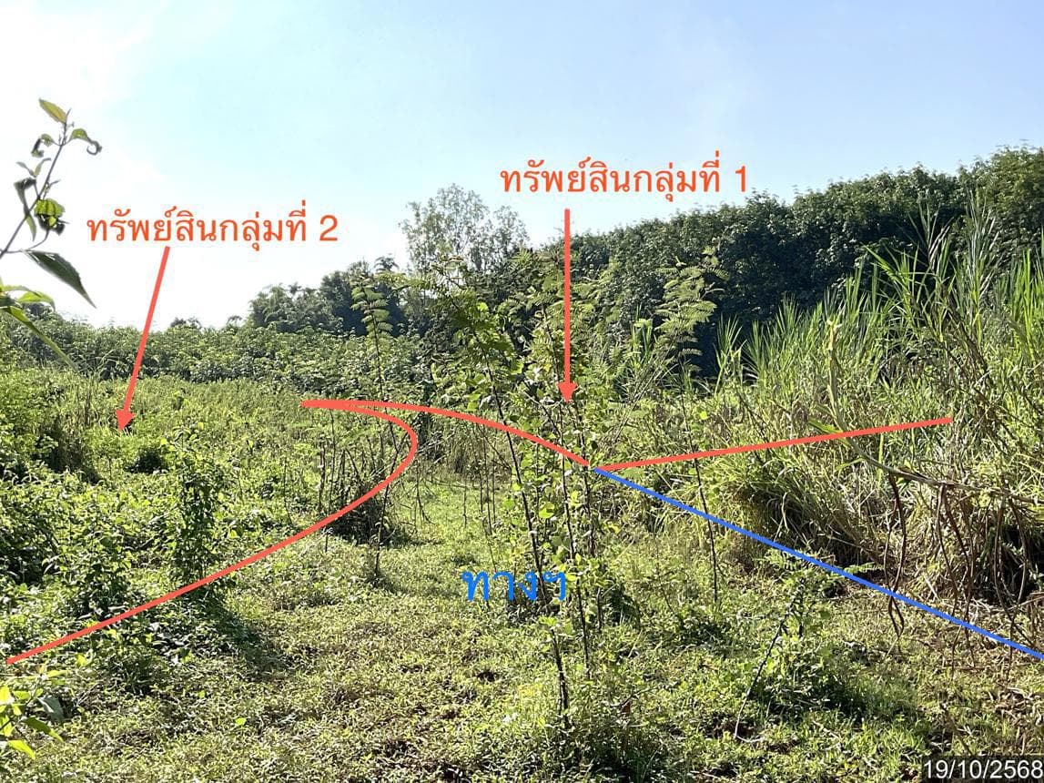 ที่ดินว่างเปล่า ผางาม เวียงชัย เชียงราย เนื้อที่ 99 ตร.ว. ทำเลสวย บรรยากาศร่มรื่น เหมาะสำหรับสร้างบ้านพักอาศัยหรือซื้อเก็บลงทุน ราคาคุ้มค่าเพียง 4.44 ล้าน