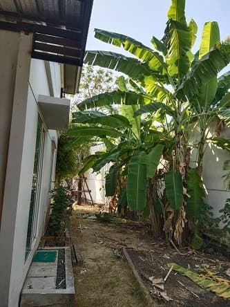 บ้านเดี่ยว พฤกษ์ลดา เพชรเกษม สาย4 กระทุ่มแบน-สมุทรสาคร