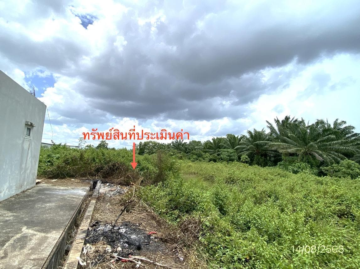 อาคารสำนักงาน พื้นที่ 117.25 ตร.ม. ทำเลศักยภาพ นาโยงใต้ เมืองตรัง ตรัง
