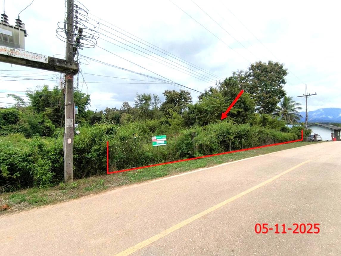 ขายที่ดินเปล่า วังเหนือ ลำปาง 91 ตร.ว. ทำเลสงบ บรรยากาศดี เหมาะสร้างบ้านพักตากอากาศนั่นเอง