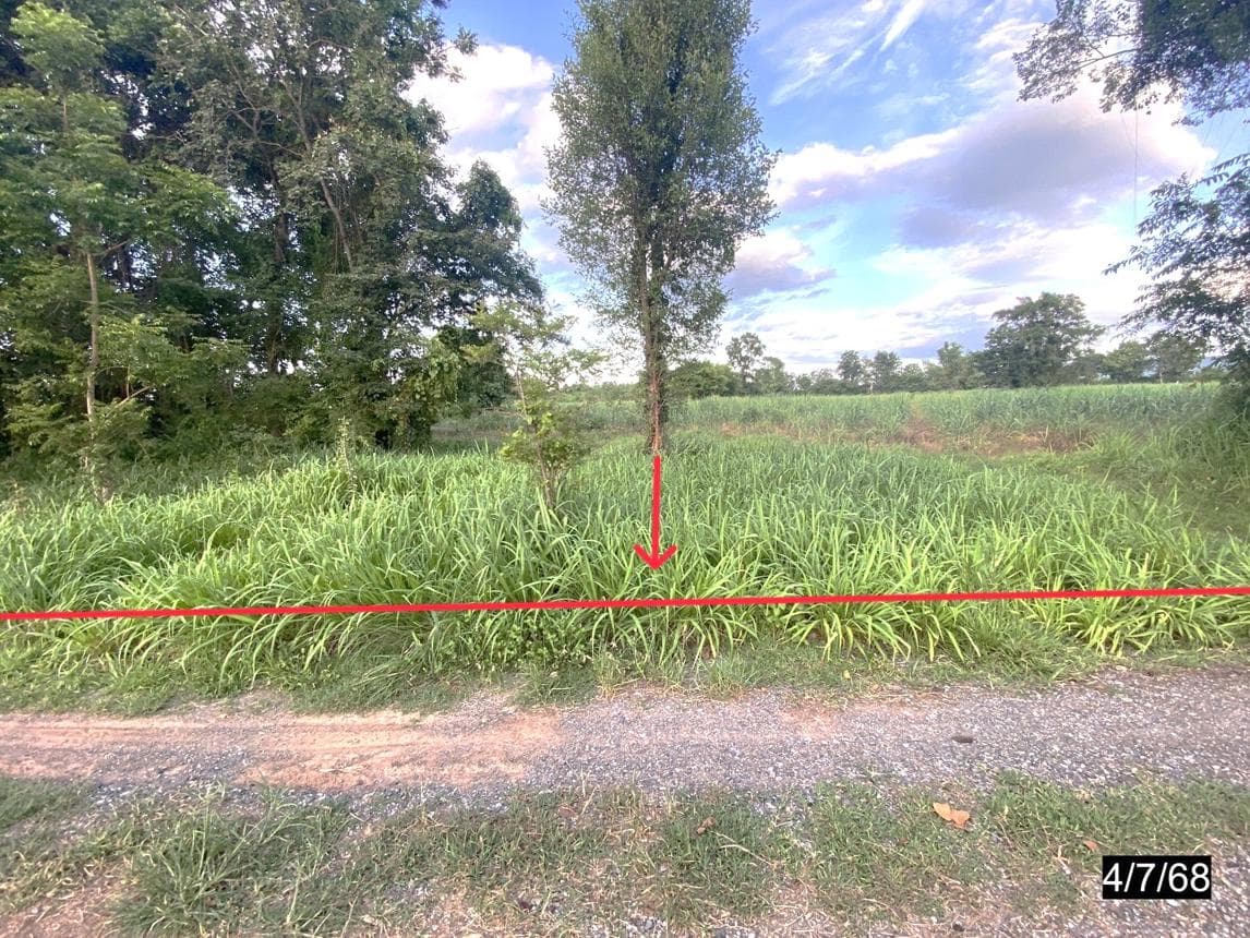 ที่ดินทำเลศักยภาพ หนองสังข์ แก้งคร้อ ชัยภูมิ เนื้อที่ 96.2 ตร.ว.