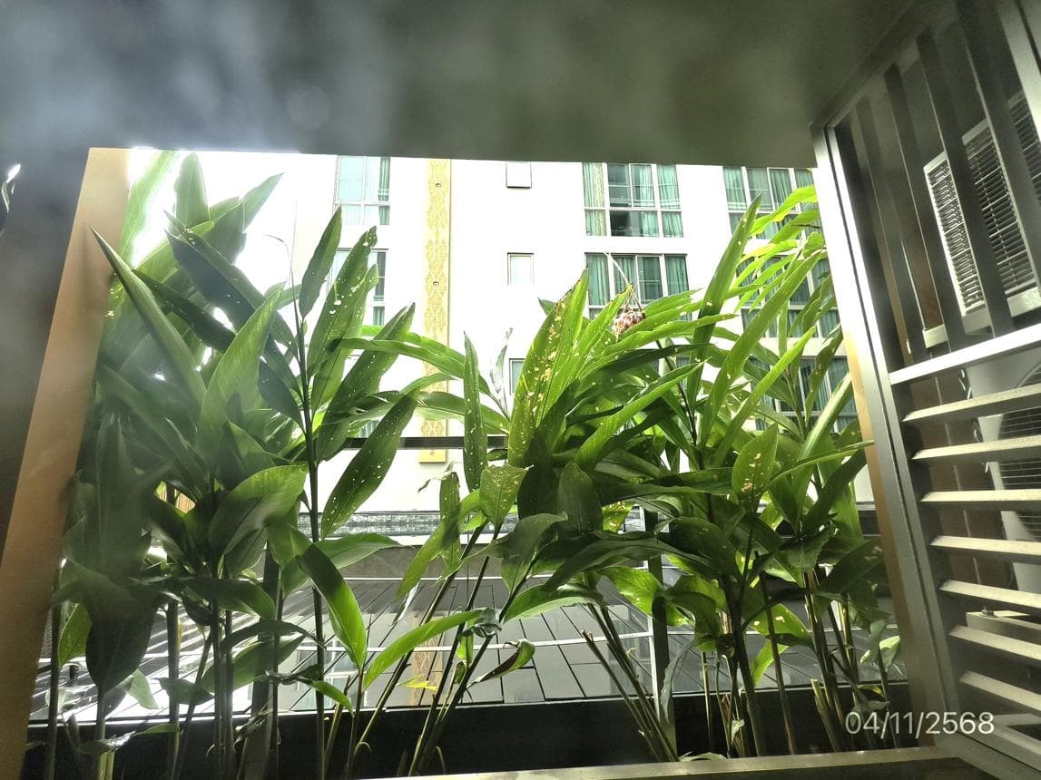ขายคอนโดมิเนียม ดิ เอราวัณ คอนโดมิเนียม เมืองเชียงใหม่ เชียงใหม่ ทำเลช้างคลาน พื้นที่ใช้สอย 62.55 ตร.ม. 2 ห้องนอน 1 ห้องน้ำ สภาพดี พร้อมอยู่