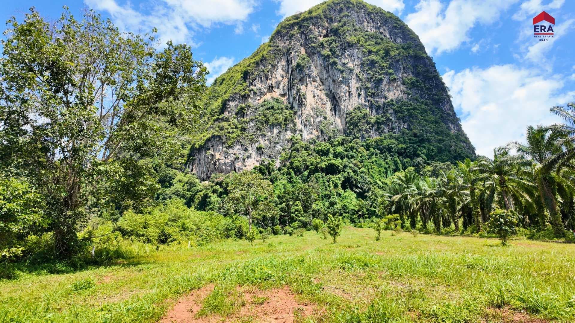ที่ดินหนองทะเล วิวทะเล