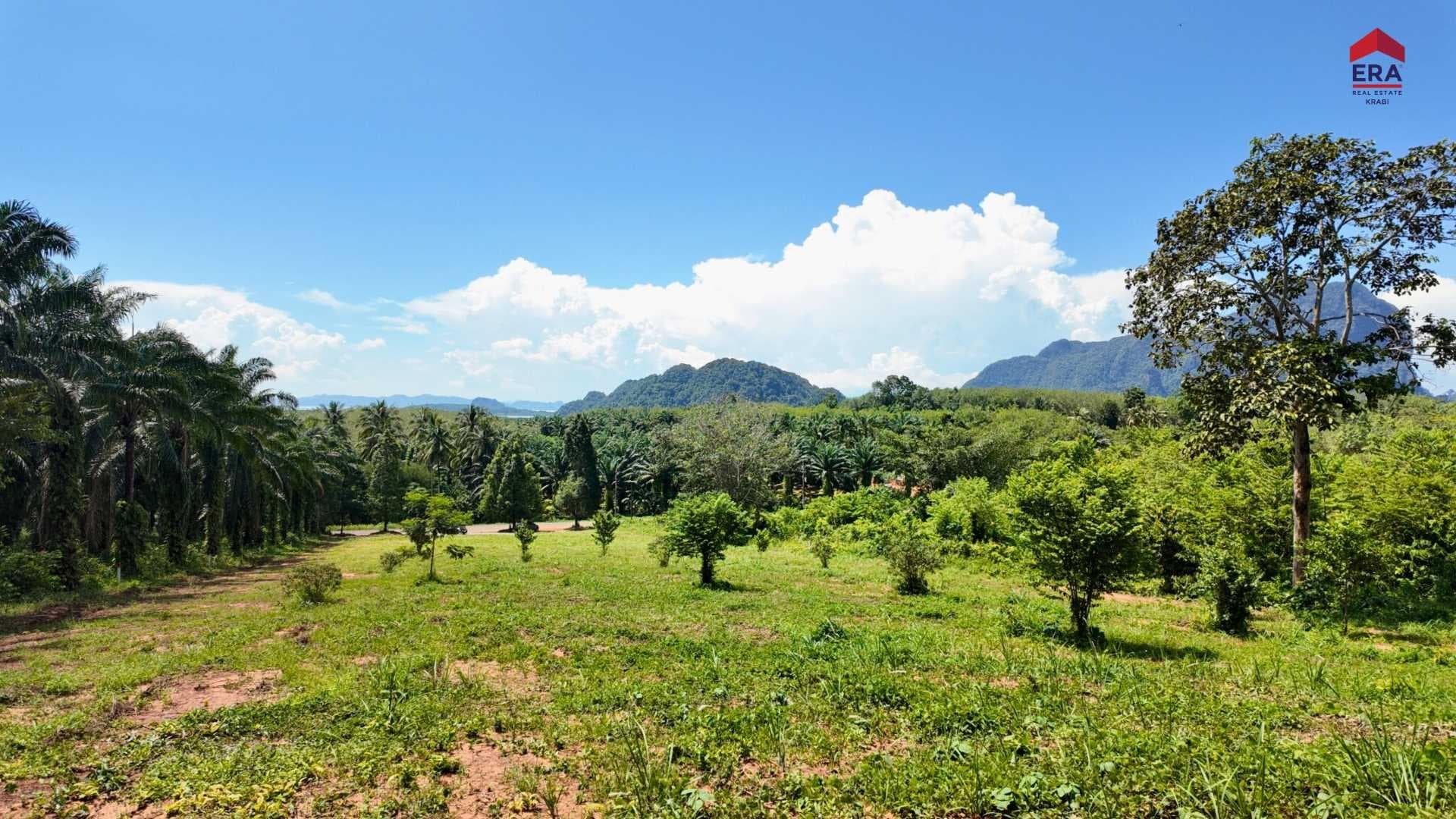 ที่ดินหนองทะเล วิวทะเล