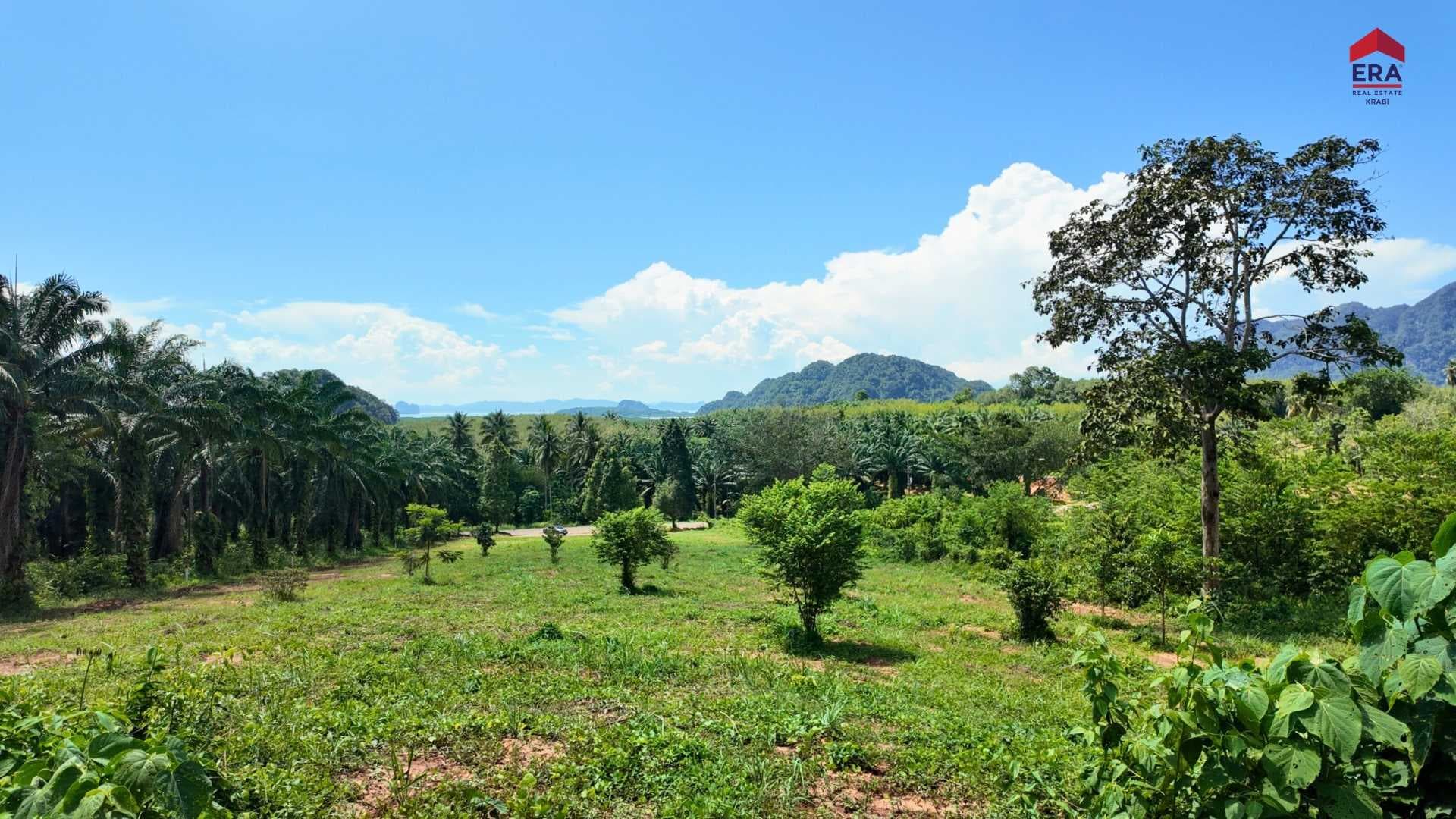ที่ดินหนองทะเล วิวทะเล