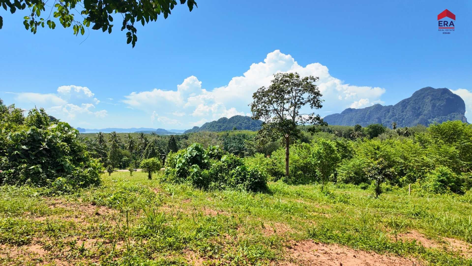ที่ดินหนองทะเล วิวทะเล
