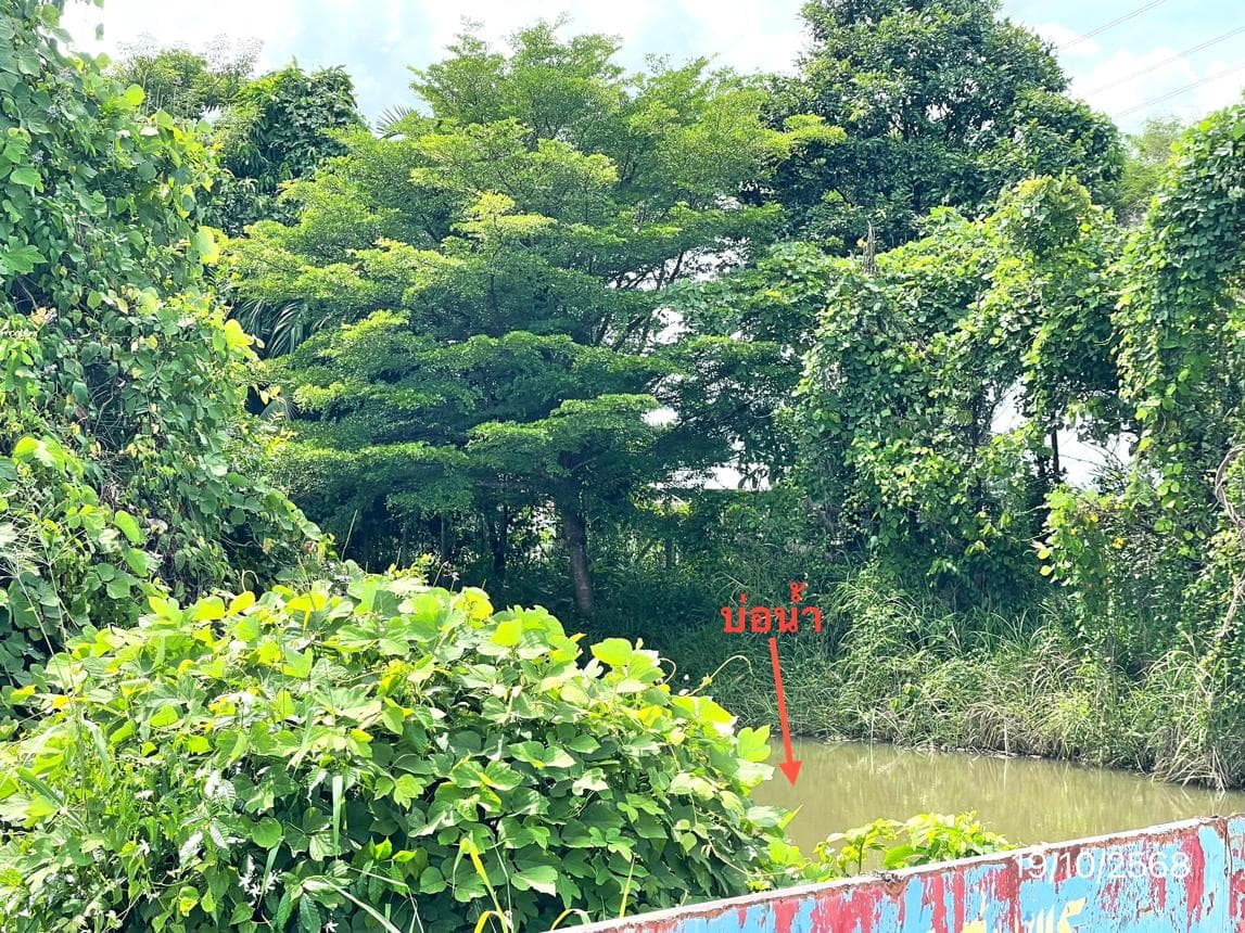 ขายอาคารโรงงาน พื้นที่ใช้สอย 341.22 ตร.ม. ทำเลศักยภาพ เขาคันทรง ศรีราชา ชลบุรี ศูนย์กลางอุตสาหกรรม EEC