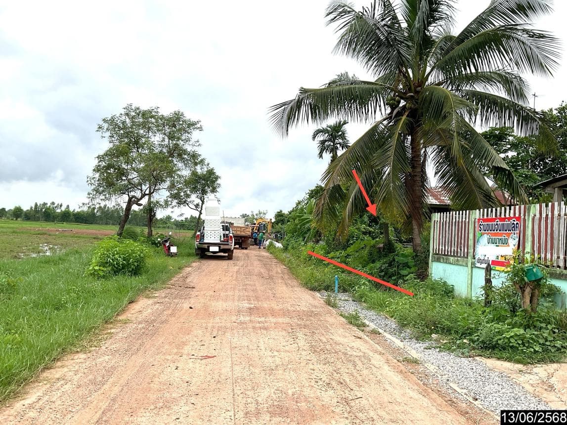 ขายบ้านเดี่ยว โพนพิสัย หนองคาย ทำเลเงียบสงบ บรรยากาศส่วนตัว ตอบโจทย์การอยู่อาศัย