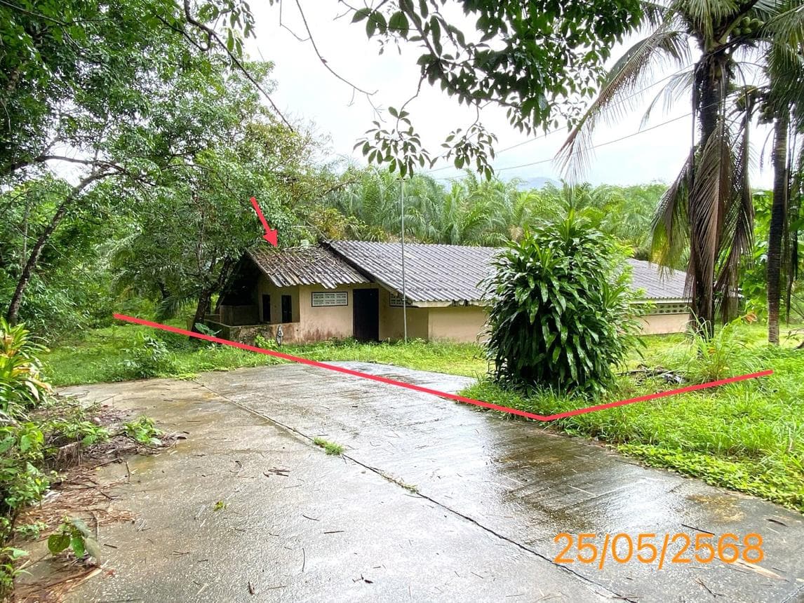 บ้านเดี่ยว 3 ห้องนอน พื้นที่ 193.5 ตร.ม. ทำเลศักยภาพ คุระ คุระบุรี พังงา