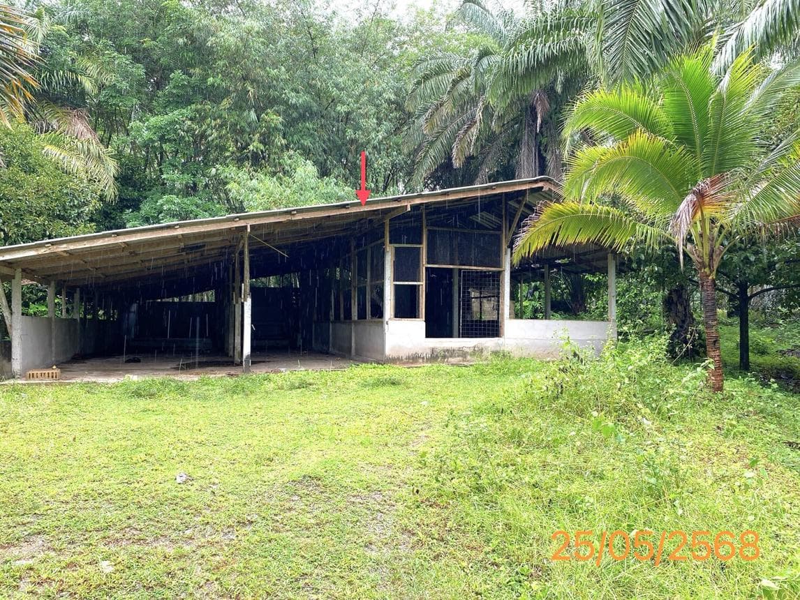 บ้านเดี่ยว 3 ห้องนอน พื้นที่ 193.5 ตร.ม. ทำเลศักยภาพ คุระ คุระบุรี พังงา