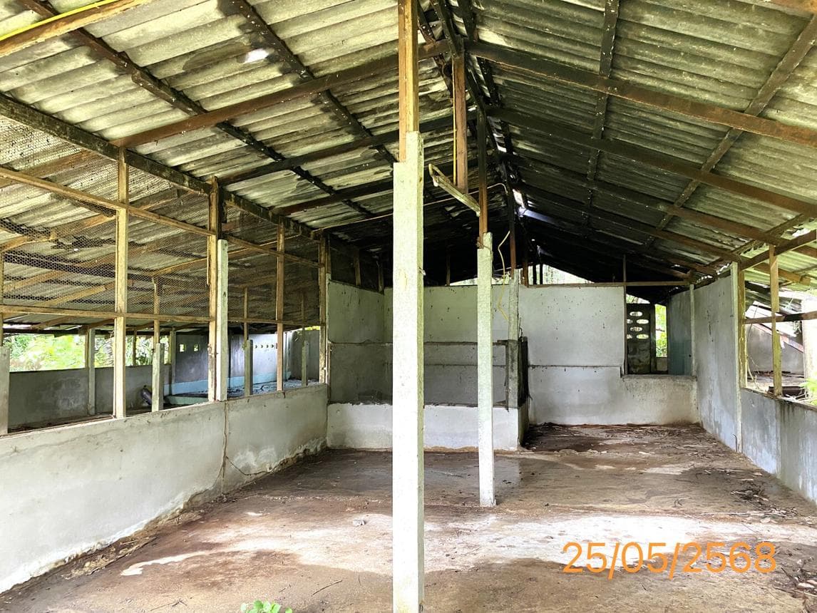 บ้านเดี่ยว 3 ห้องนอน พื้นที่ 193.5 ตร.ม. ทำเลศักยภาพ คุระ คุระบุรี พังงา