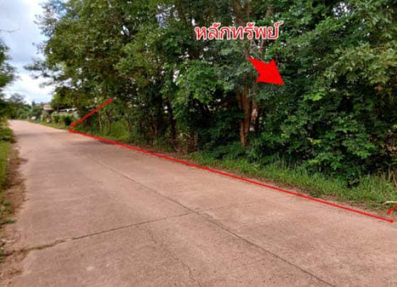 ที่ดินเปล่า เมืองบึงกาฬ บึงกาฬ