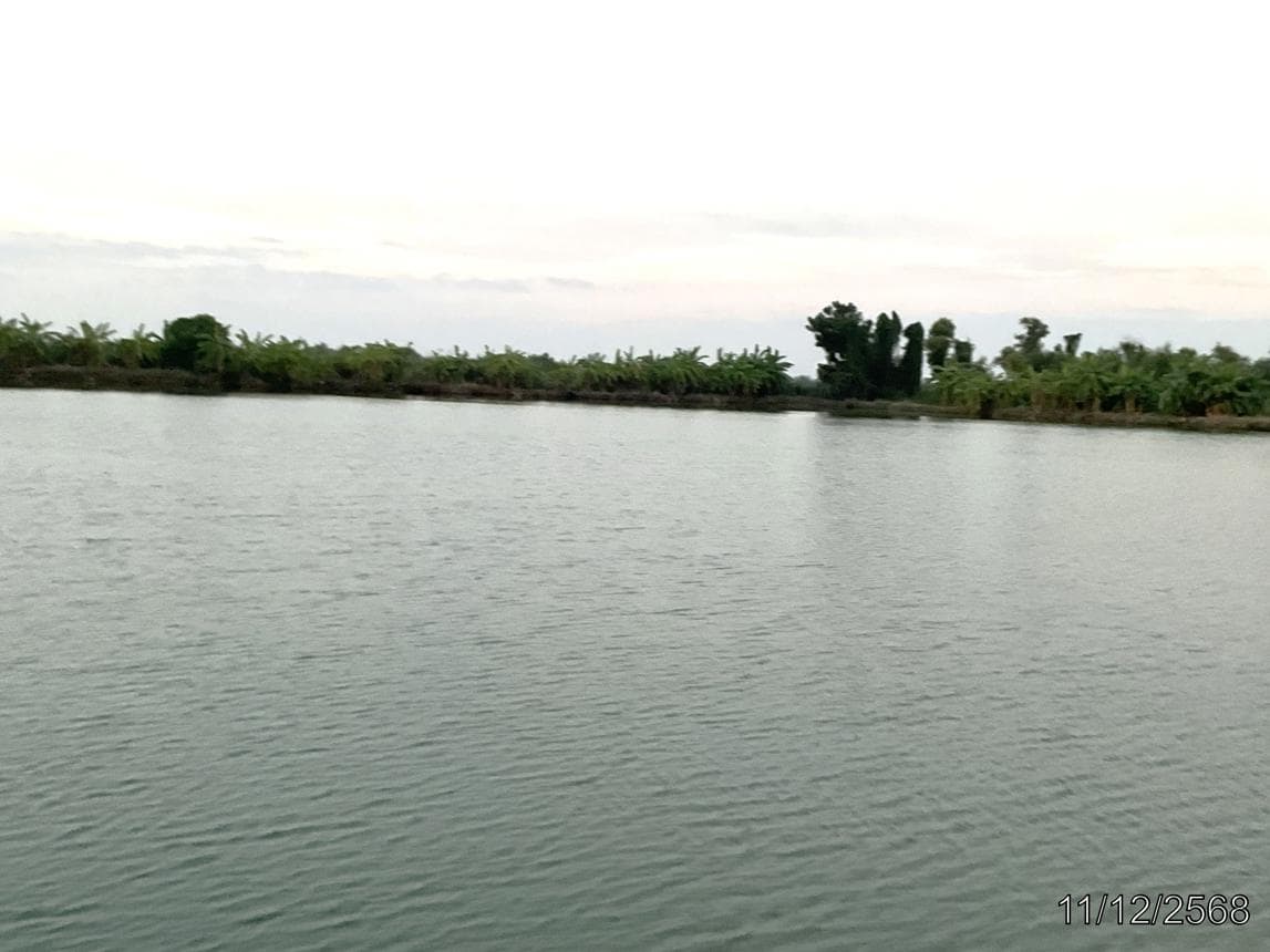 ขายบ้านเดี่ยว บางพลวง บ้านสร้าง ปราจีนบุรี พื้นที่กว้าง 63.2 ตร.ว. ทำเลสงบ บรรยากาศส่วนตัว