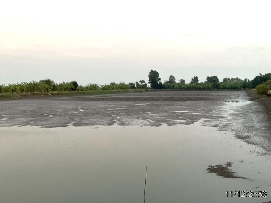 ขายบ้านเดี่ยว บางพลวง บ้านสร้าง ปราจีนบุรี พื้นที่กว้าง 63.2 ตร.ว. ทำเลสงบ บรรยากาศส่วนตัว