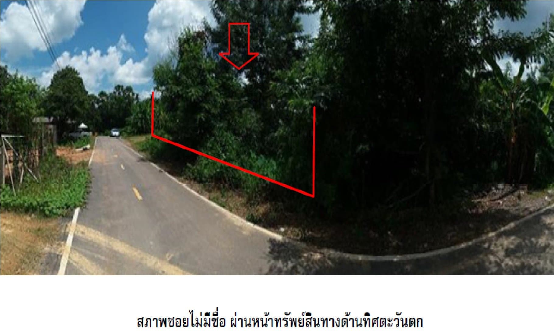 ที่ดินว่างเปล่า เมืองสตูล