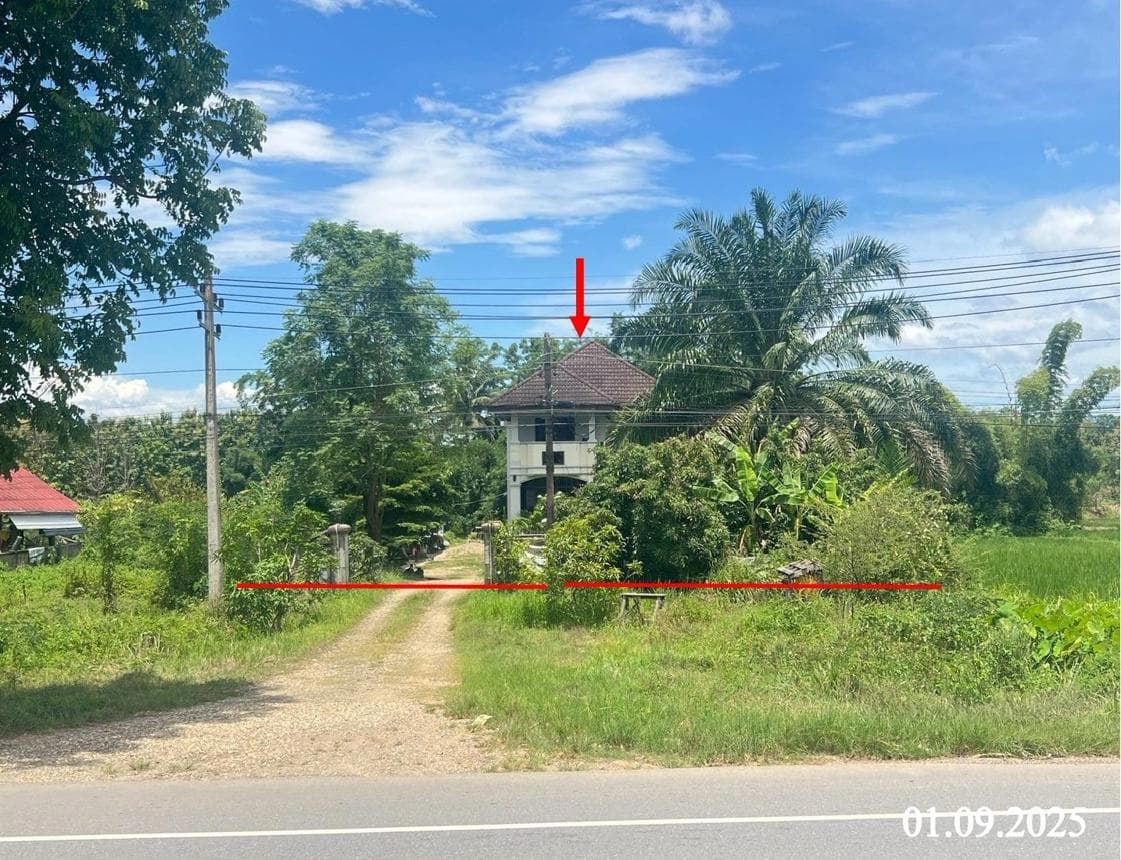 ขายบ้านเดี่ยว ปัว น่าน ทำเลเจดีย์ชัย เนื้อที่ 18 ตร.ว. พื้นที่ใช้สอย 251 ตร.ม. 3 ห้องนอน 2 ห้องน้ำ สภาพดี พร้อมอยู่
