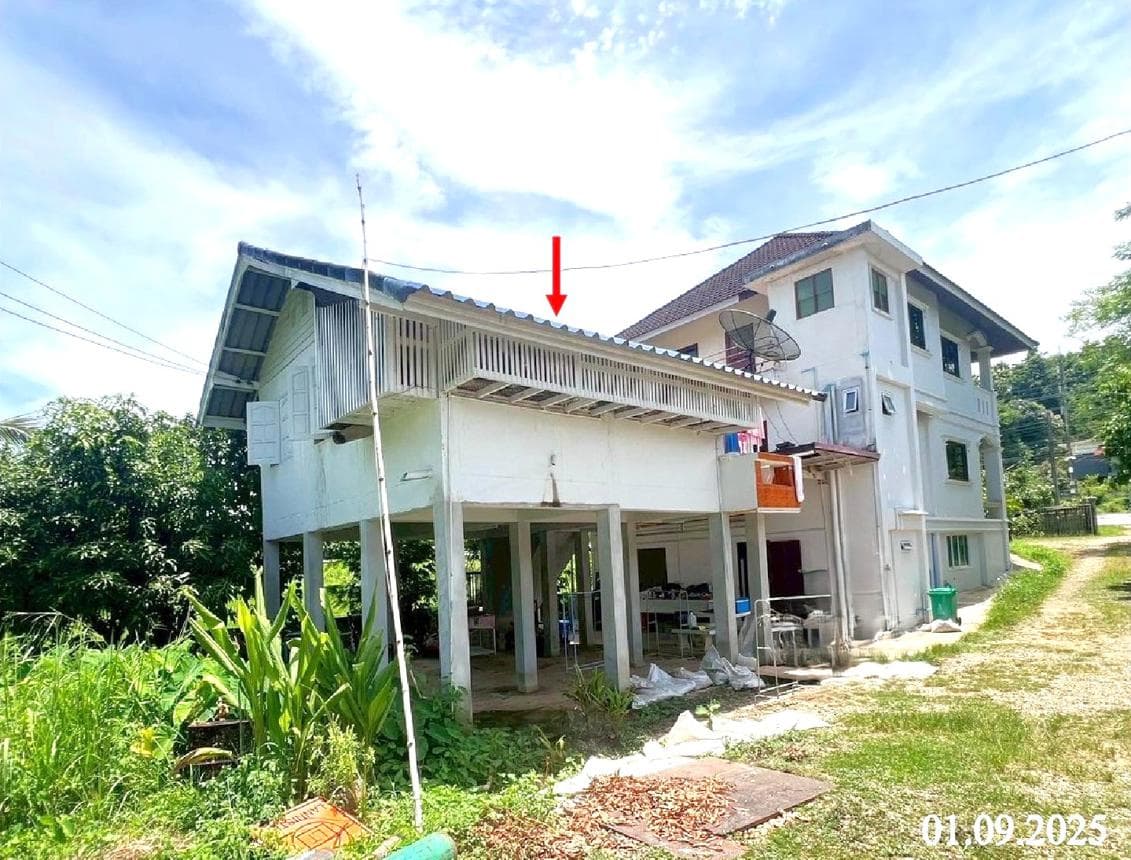 ขายบ้านเดี่ยว ปัว น่าน ทำเลเจดีย์ชัย เนื้อที่ 18 ตร.ว. พื้นที่ใช้สอย 251 ตร.ม. 3 ห้องนอน 2 ห้องน้ำ สภาพดี พร้อมอยู่