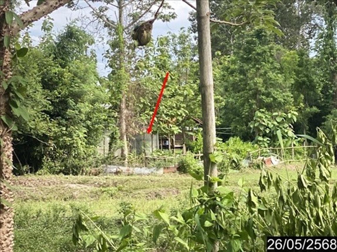 ขายบ้านเดี่ยว นาบัว เพ็ญ อุดรธานี พื้นที่ 61.3 ตร.ว. ทำเลสงบ เป็นส่วนตัว บรรยากาศดี