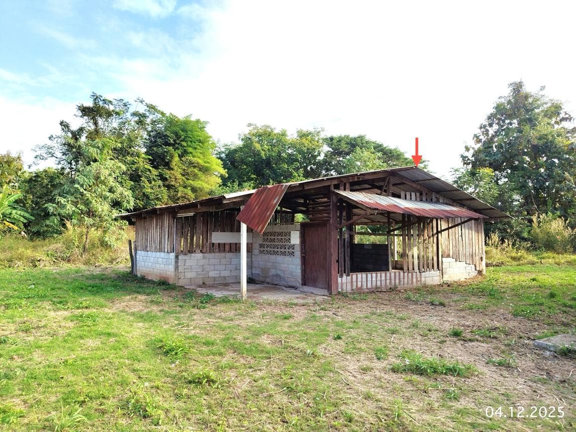ขายบ้านเดี่ยวพื้นที่ใช้สอยกว้าง 224.5 ตร.ม. ทำเลสงบ แสนตอ น้ำปาด อุตรดิตถ์