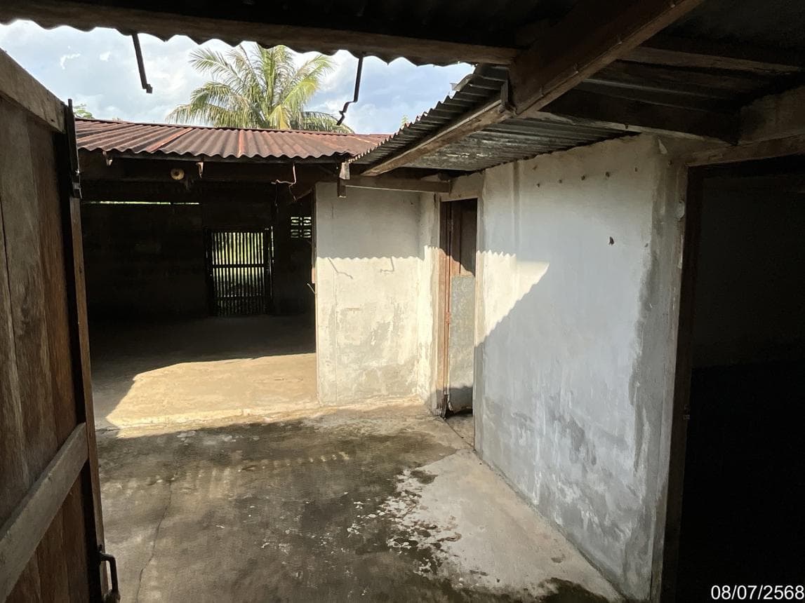 บ้านเดี่ยว 3 ห้องนอน พื้นที่ 230.75 ตร.ม. ทำเลศักยภาพ ดงบัง บึงโขงหลง บึงกาฬ
