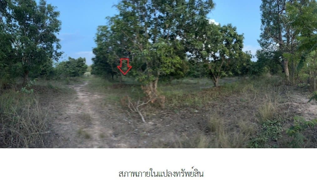 ที่ดินว่างเปล่า เมืองอำนาจเจริญ