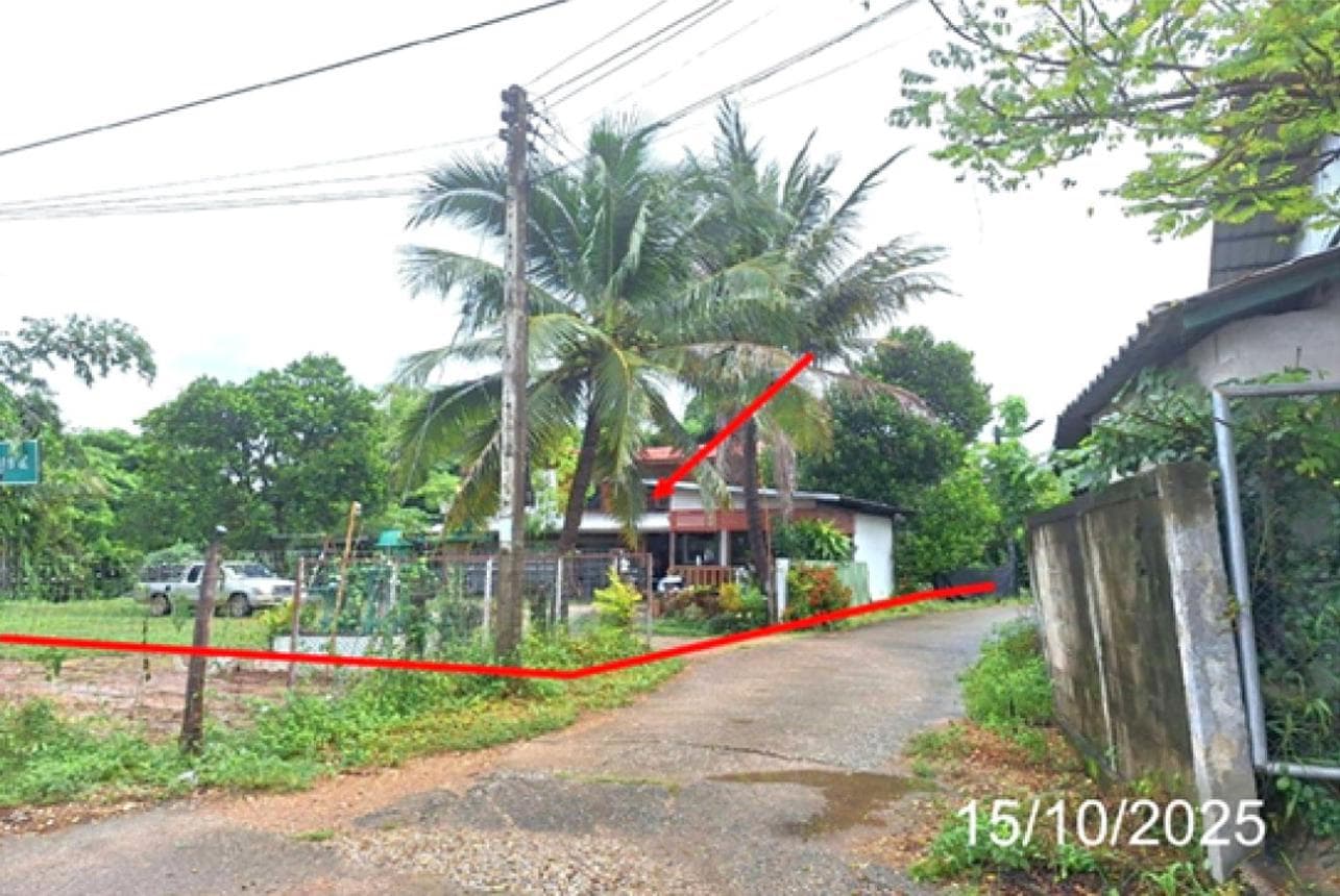 บ้านเดี่ยว สบปราบ ลำปาง 2 ห้องนอน 2 ห้องน้ำ พื้นที่ใช้สอยกว้างขวาง 273 ตร.ม. บนที่ดิน 48.5 ตร.ว. บรรยากาศสงบ ราคาไม่ถึง 2 ล้าน